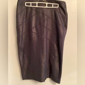 Express Skirt Size 12